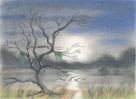 swamp pastel charcoal watercolour art